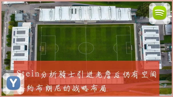 Stein分析骑士引进老詹后仍有空间签约布朗尼的战略布局