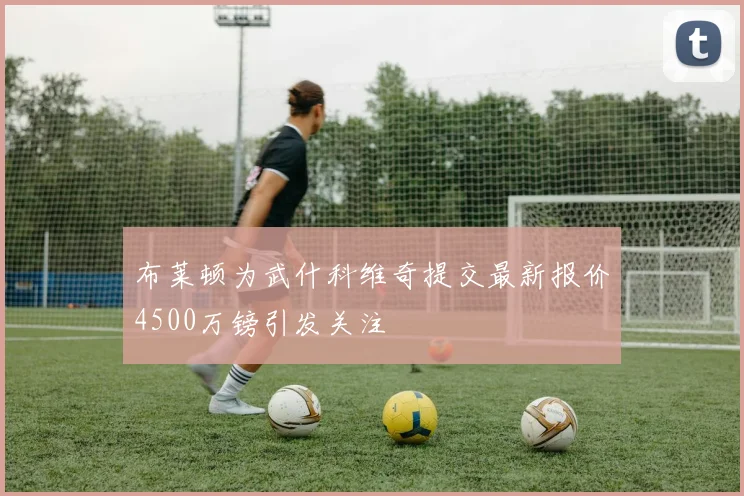 布莱顿为武什科维奇提交最新报价4500万镑引发关注