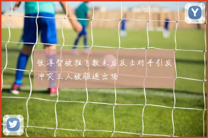 张淳智被推飞数米后反击对手引发冲突三人被驱逐出场