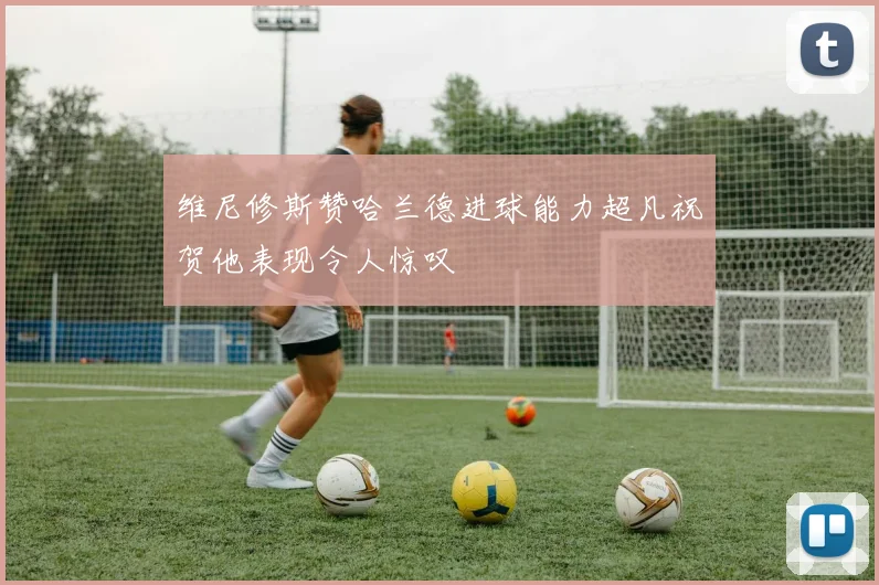 维尼修斯赞哈兰德进球能力超凡祝贺他表现令人惊叹